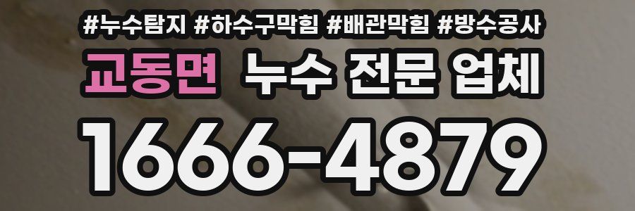 교동면 누수 전문 업체