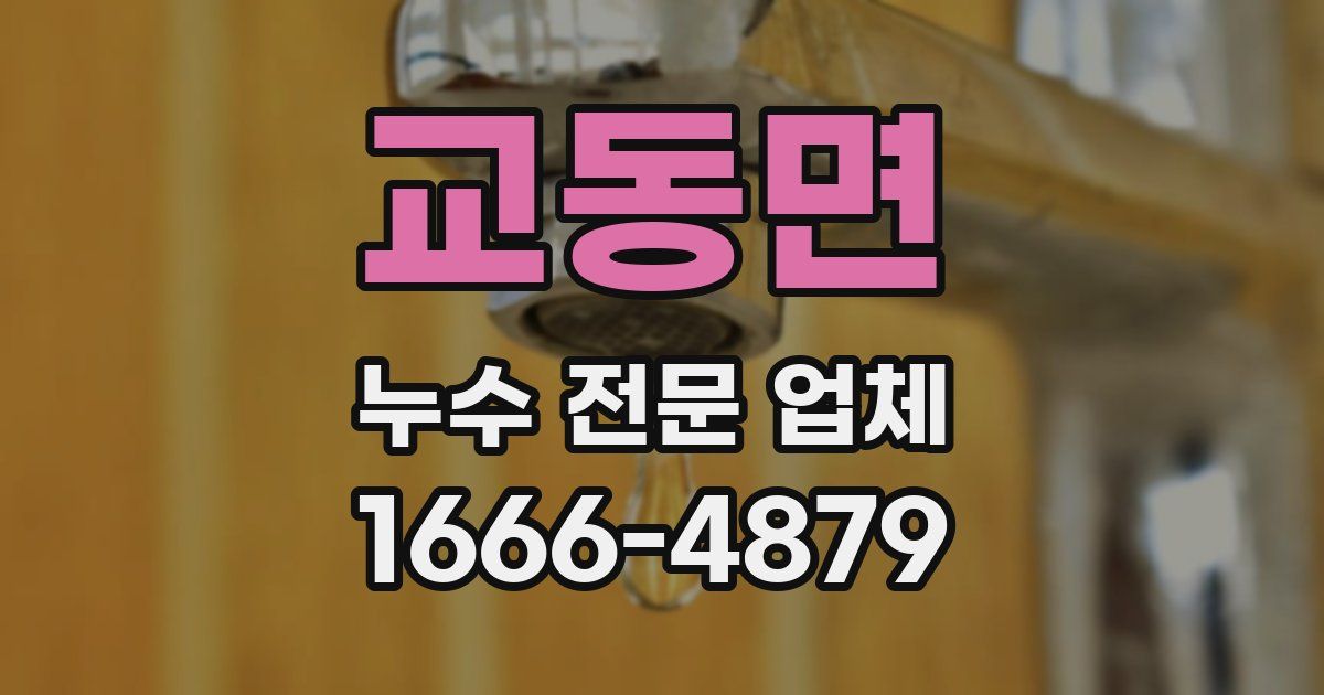 교동면 누수 전문 업체