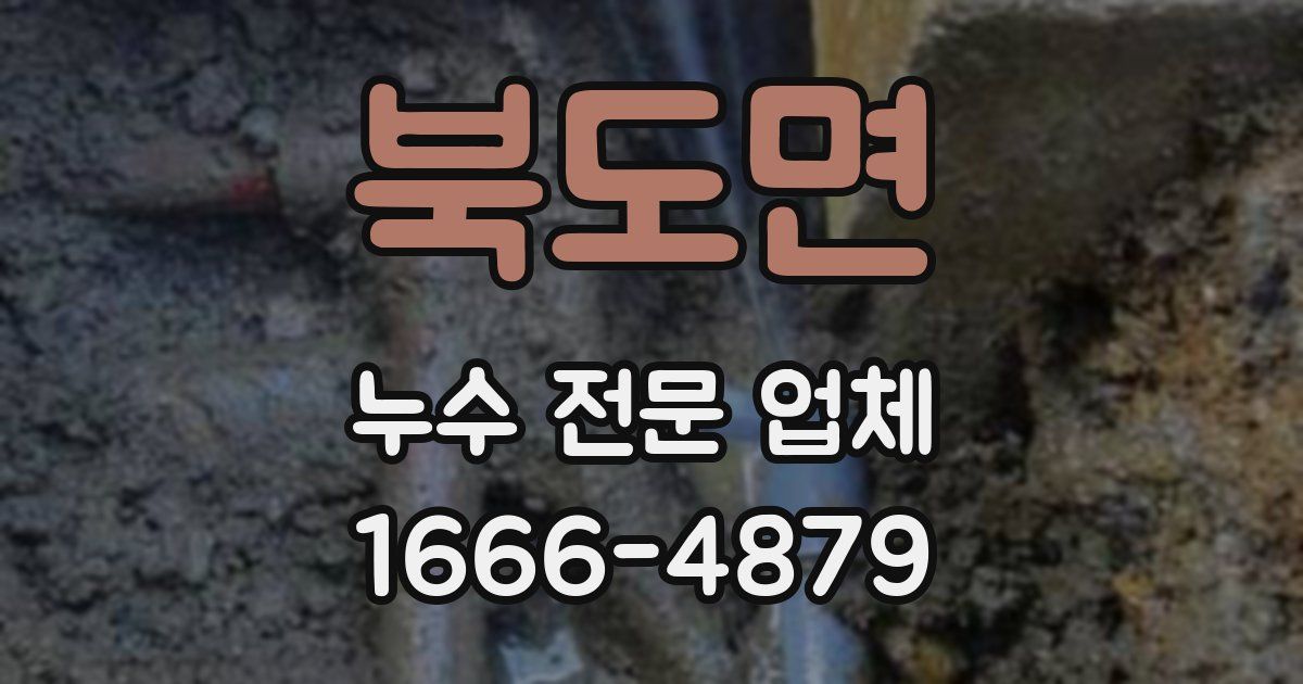 북도면 누수 전문 업체