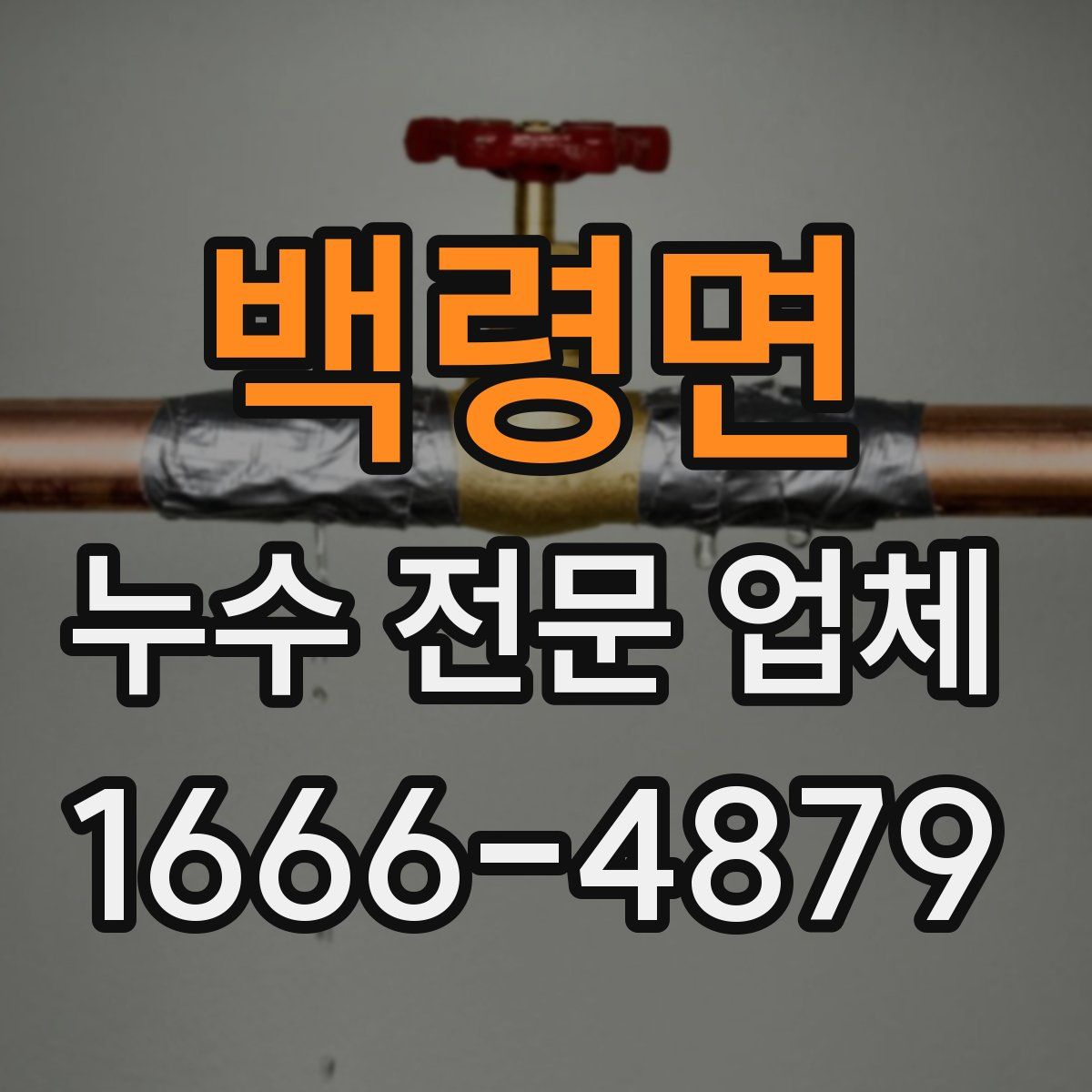 백령면 누수 전문 업체