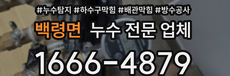 백령면 누수 전문 업체