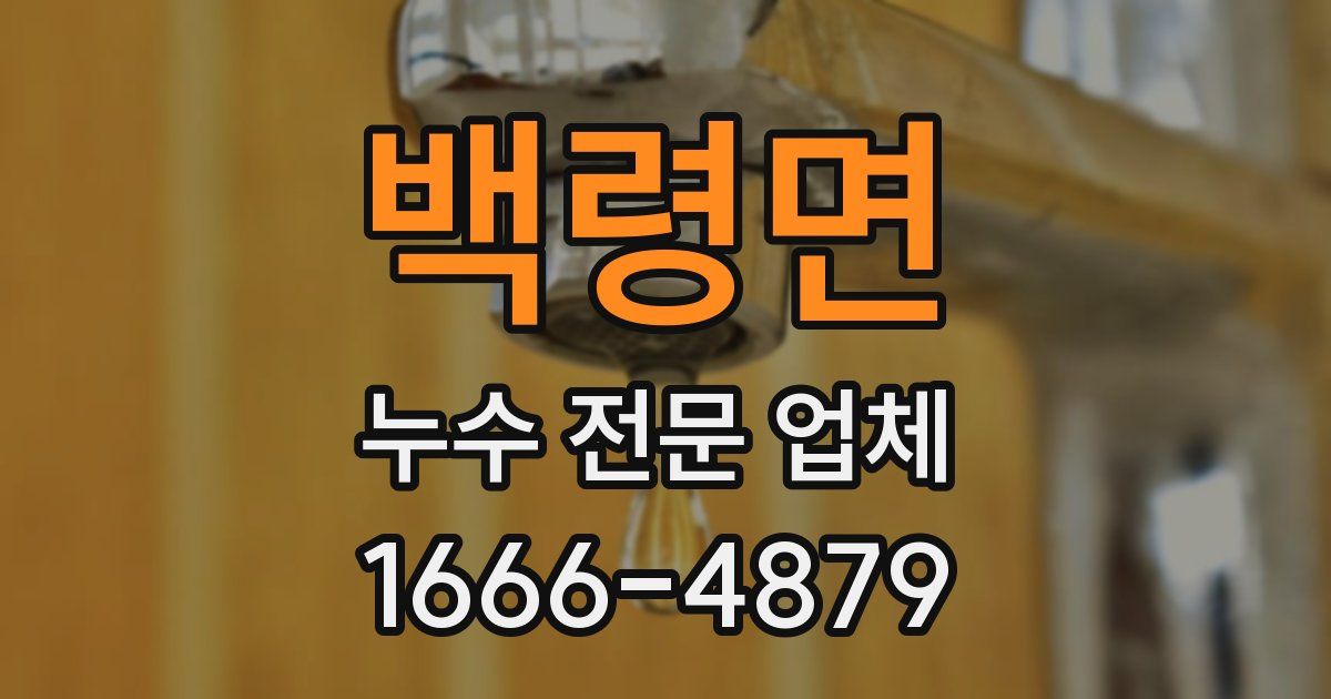 백령면 누수 전문 업체