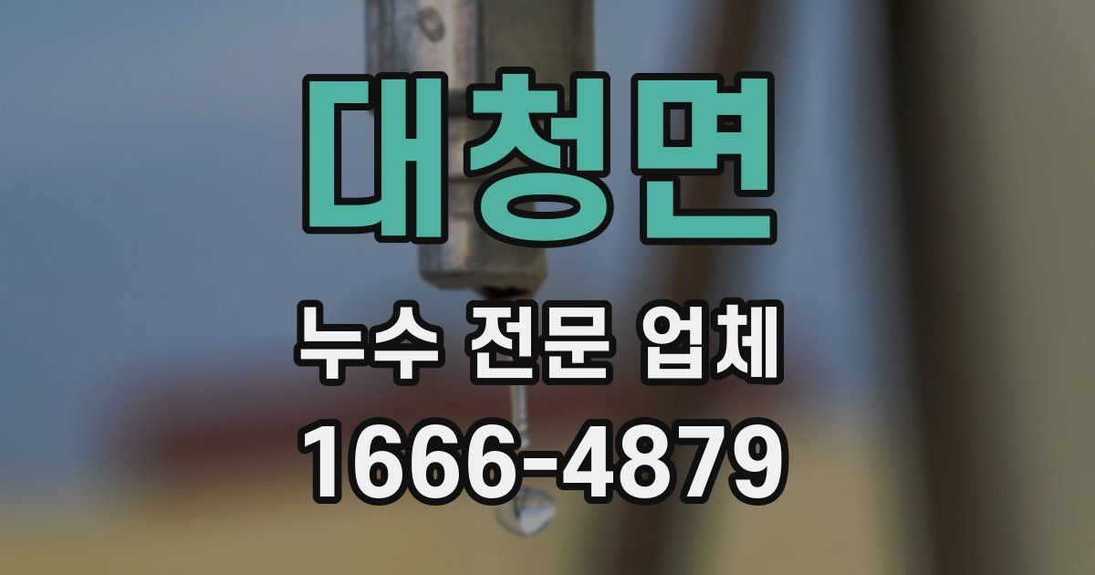 대청면 누수 전문 업체