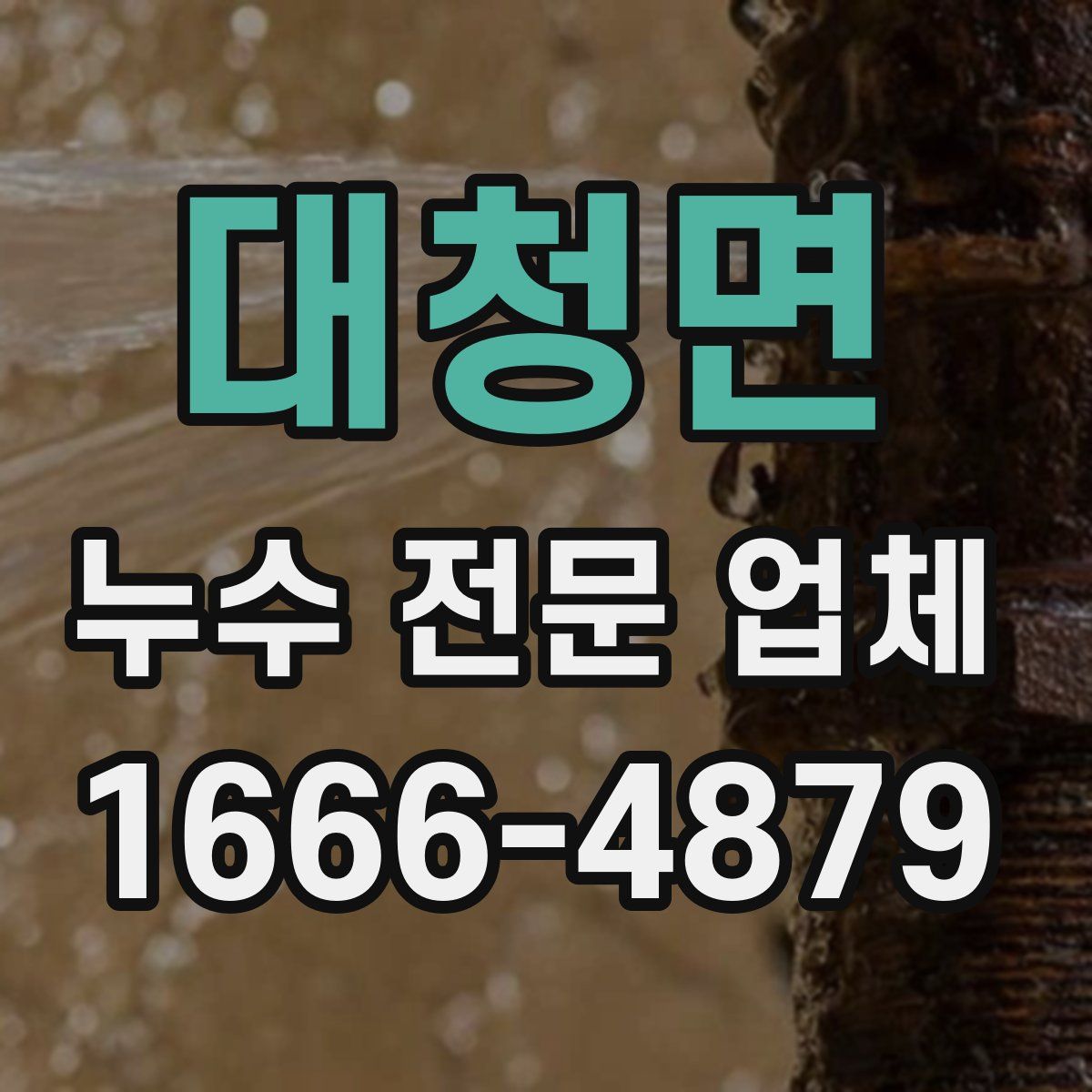 대청면 누수 전문 업체