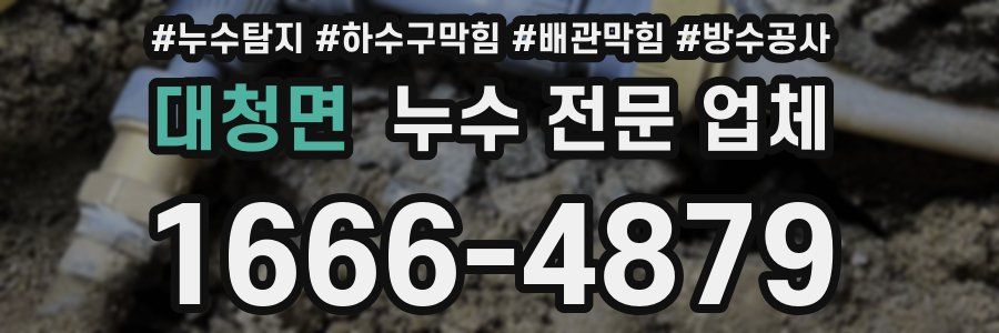 대청면 누수 전문 업체