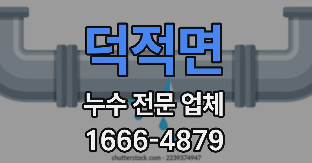 덕적면 누수 전문 업체