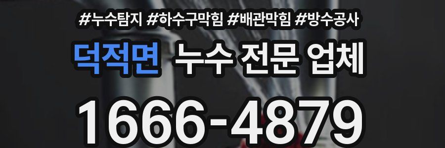 덕적면 누수 전문 업체