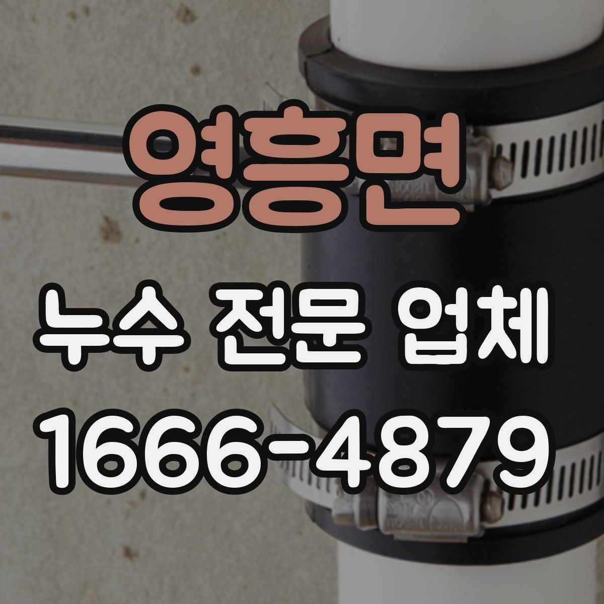 영흥면 누수 전문 업체