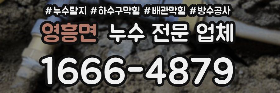 영흥면 누수 전문 업체
