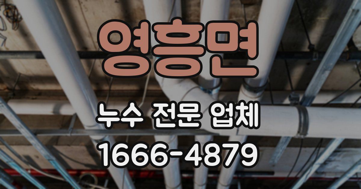 영흥면 누수 전문 업체