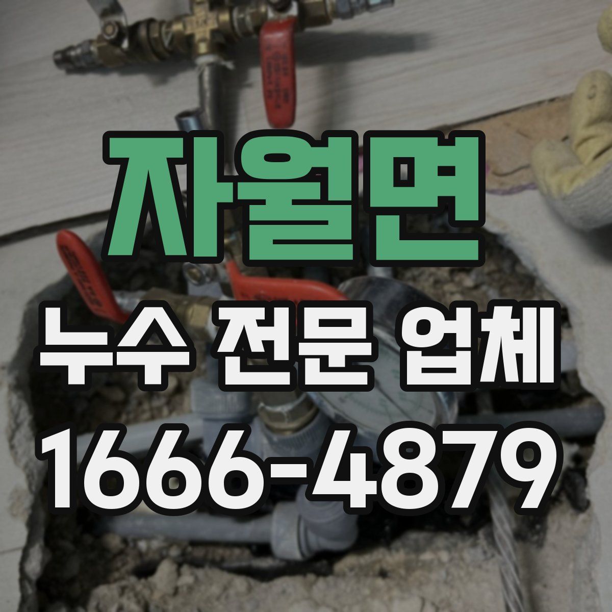 자월면 누수 전문 업체