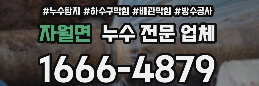 자월면 누수 전문 업체