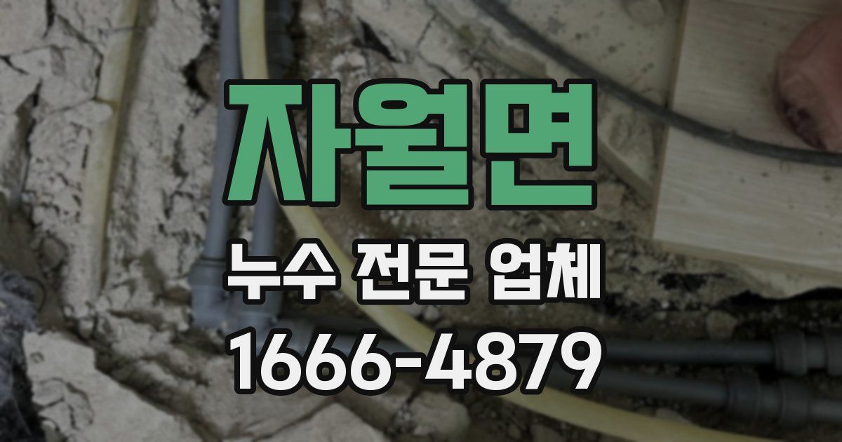 자월면 누수 전문 업체