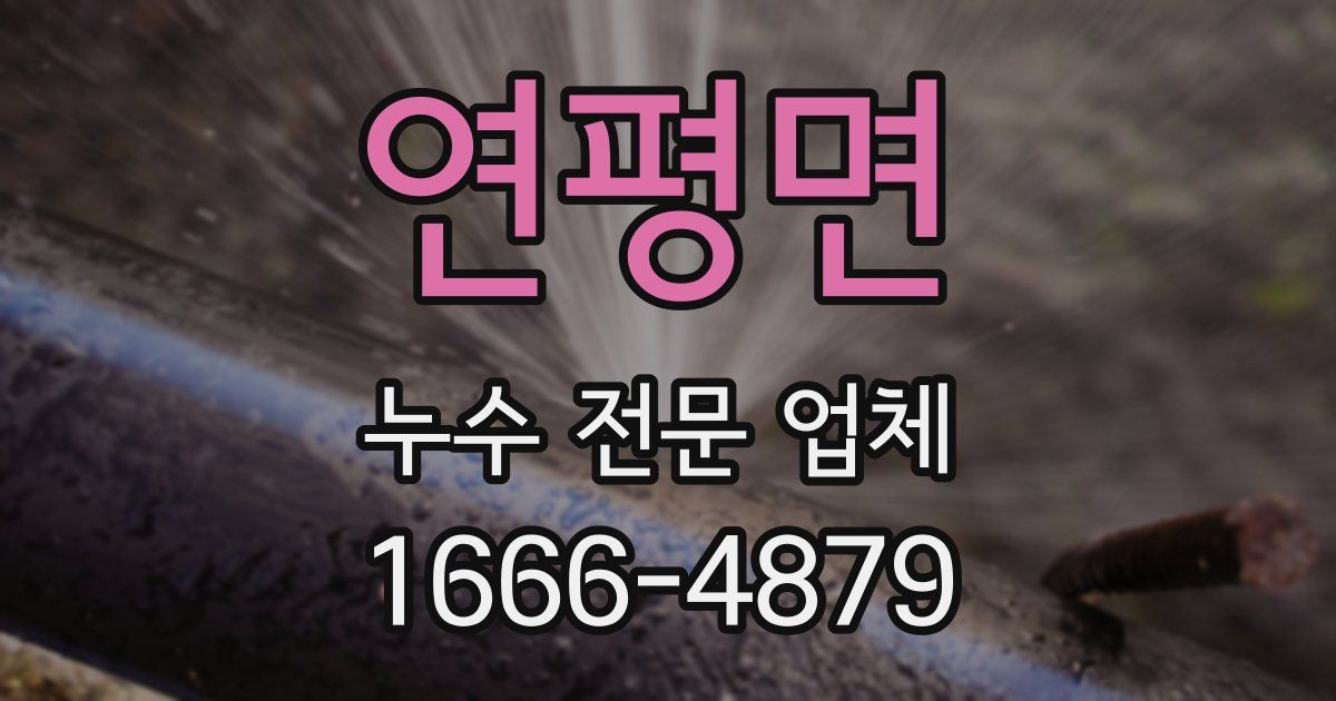 연평면 누수 전문 업체