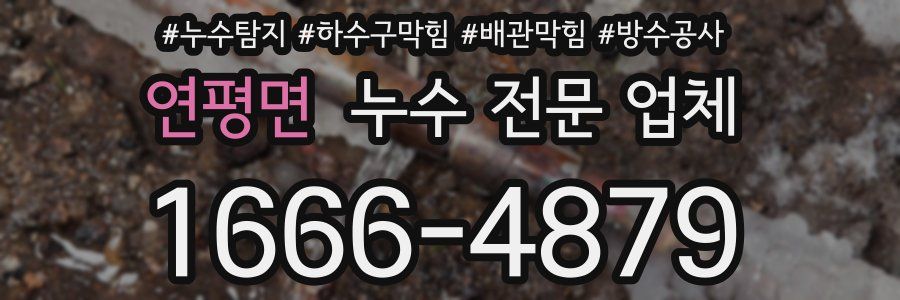 연평면 누수 전문 업체