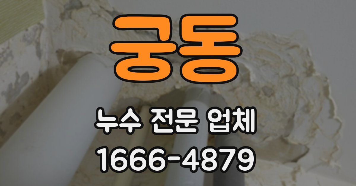 궁동 누수 전문 업체