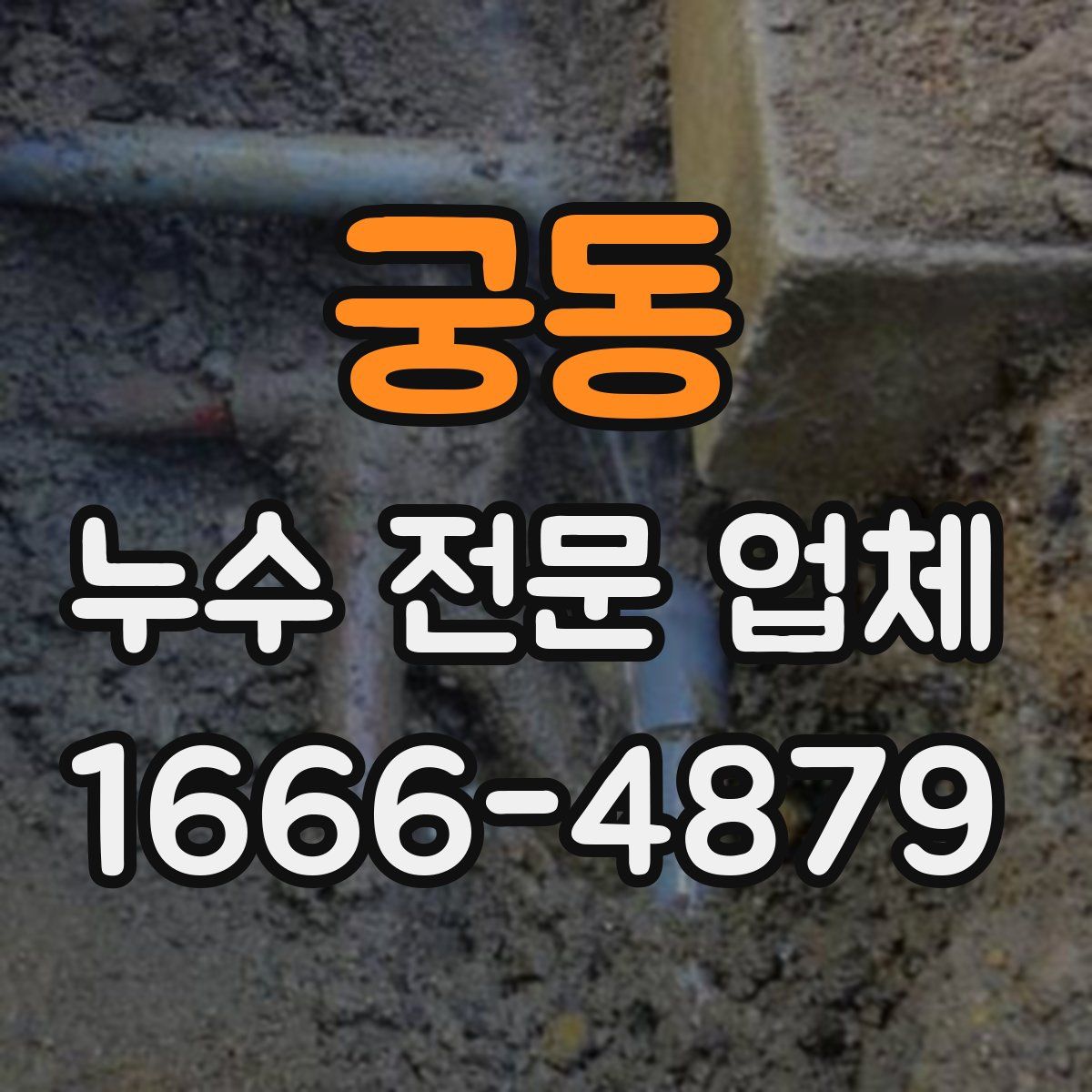 궁동 누수 전문 업체