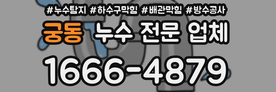 궁동 누수 전문 업체