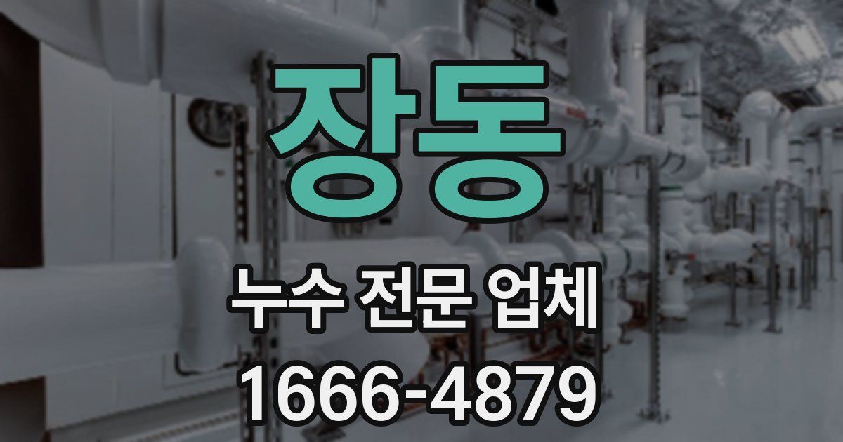 장동 누수 전문 업체