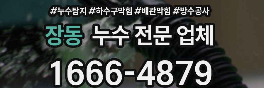 장동 누수 전문 업체