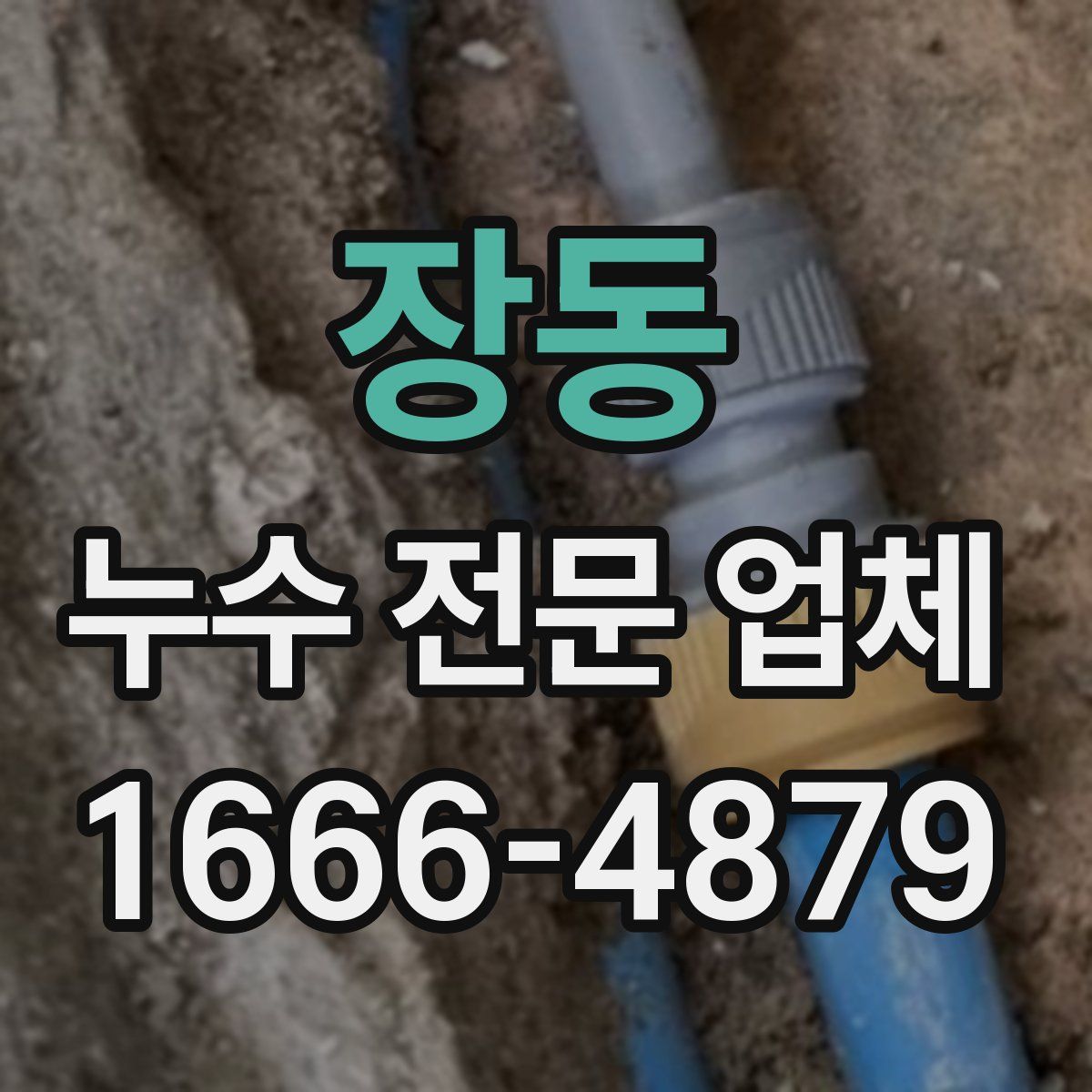 장동 누수 전문 업체