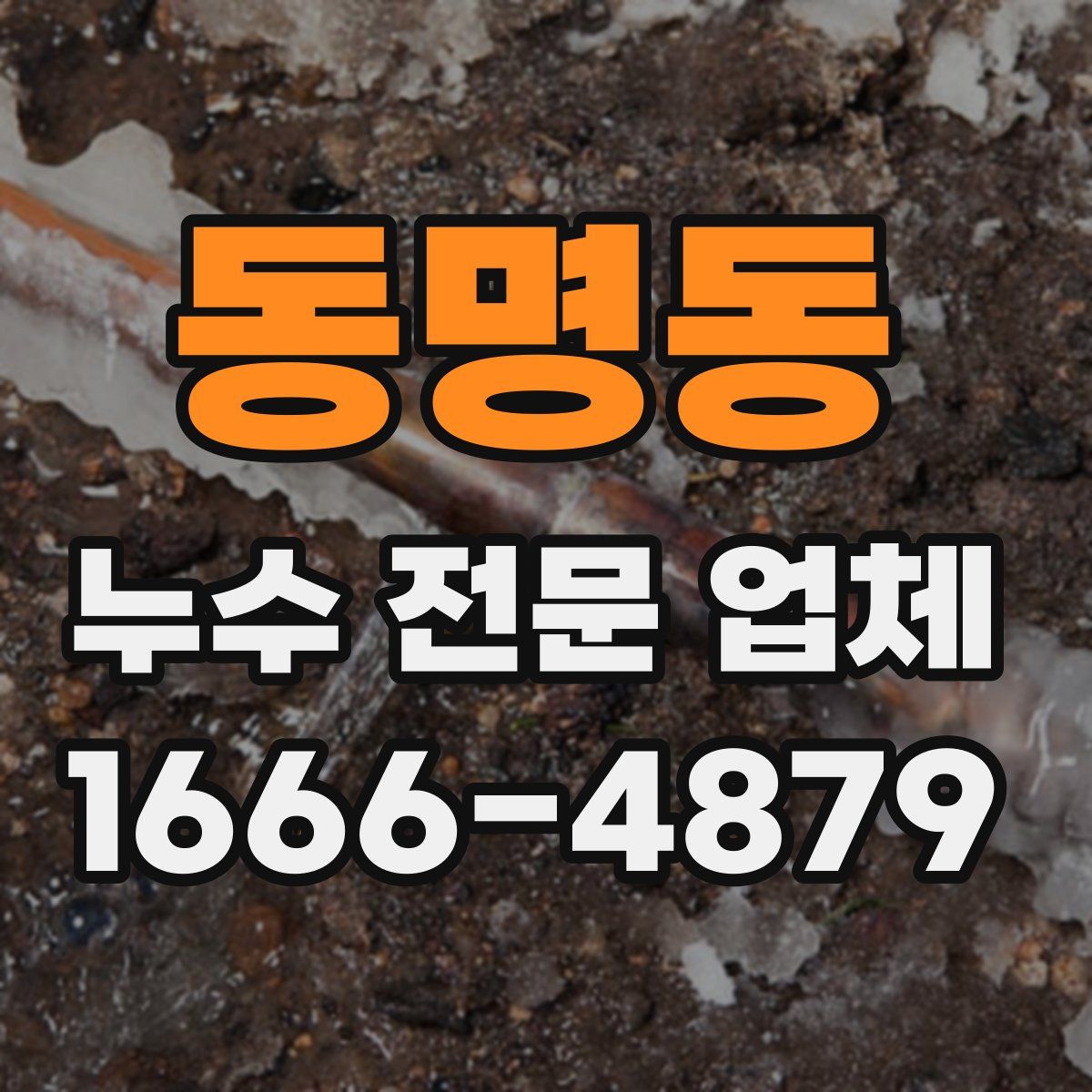 동명동 누수 전문 업체