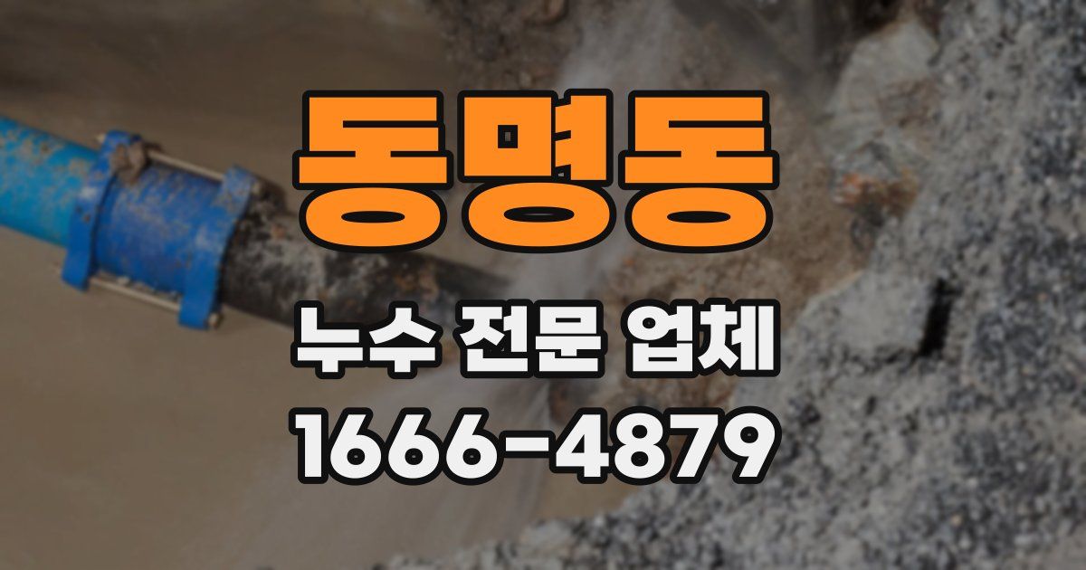 동명동 누수 전문 업체