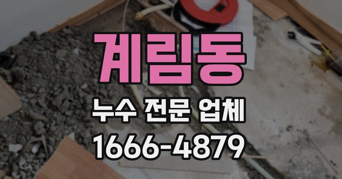 계림동 누수 전문 업체