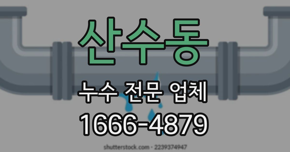산수동 누수 전문 업체