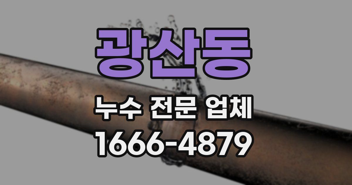 광산동 누수 전문 업체