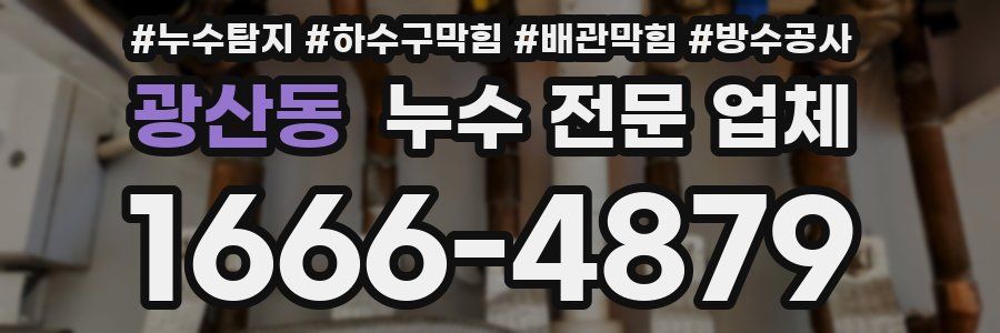 광산동 누수 전문 업체