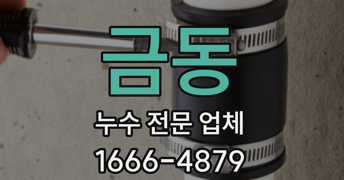 금동 누수 전문 업체