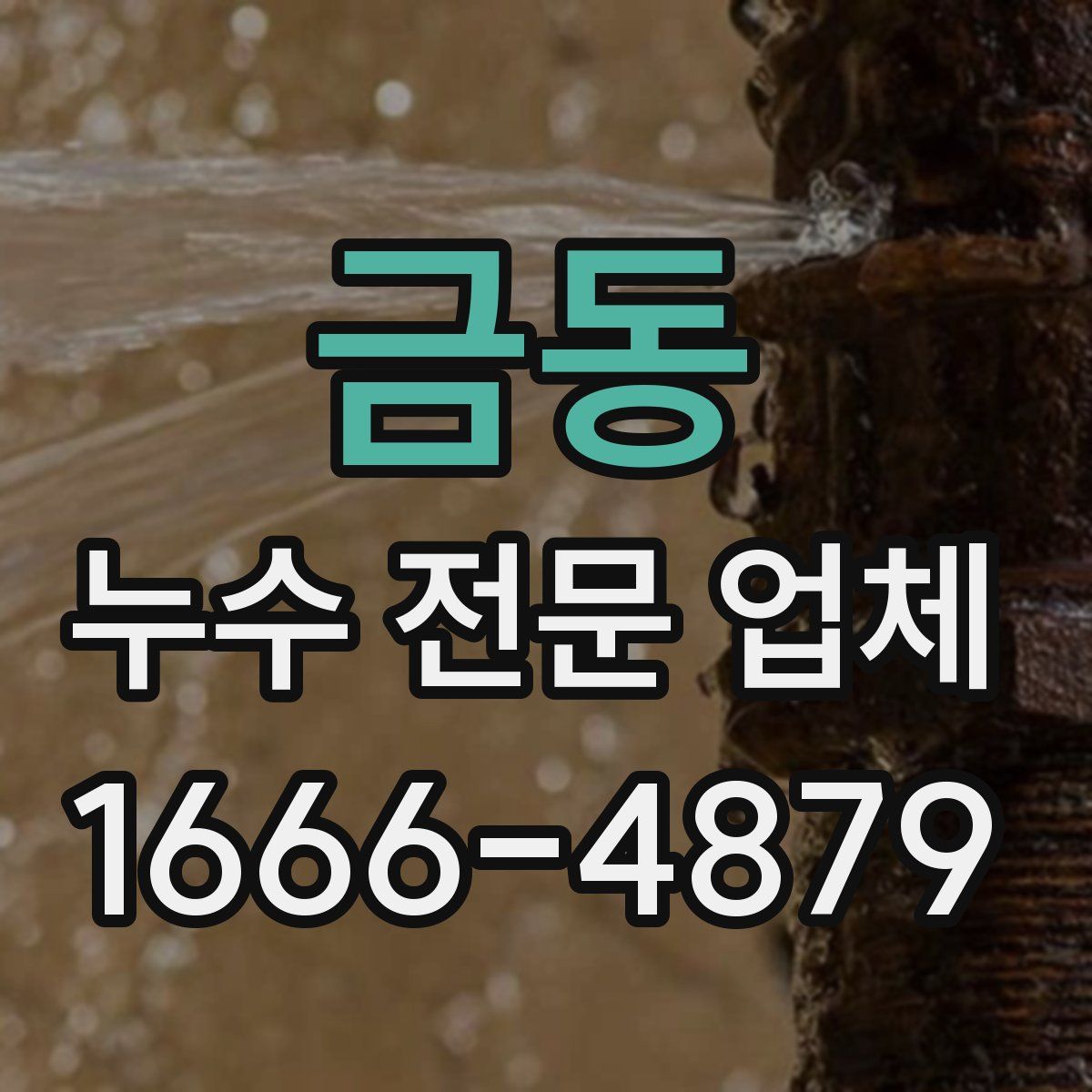 금동 누수 전문 업체