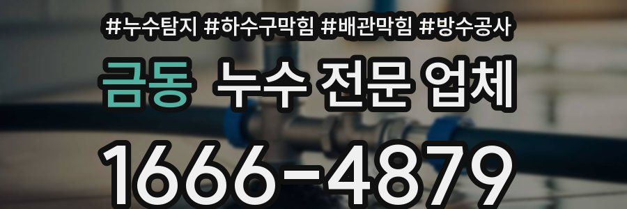 금동 누수 전문 업체