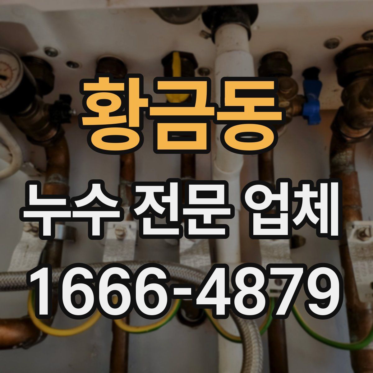 황금동 누수 전문 업체