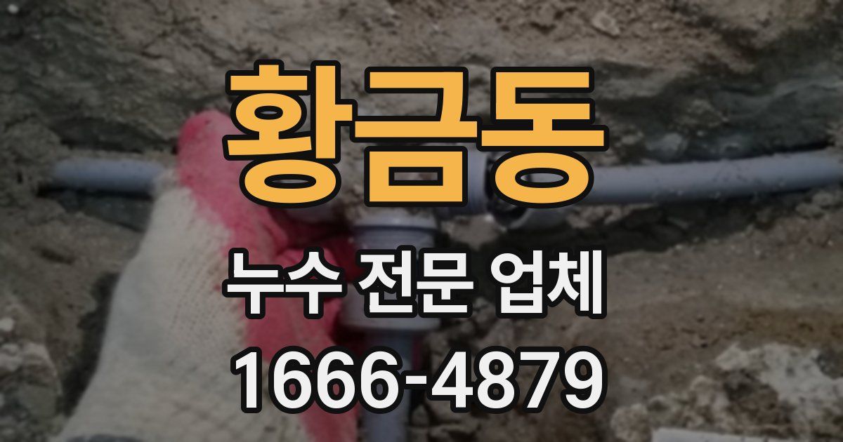 황금동 누수 전문 업체