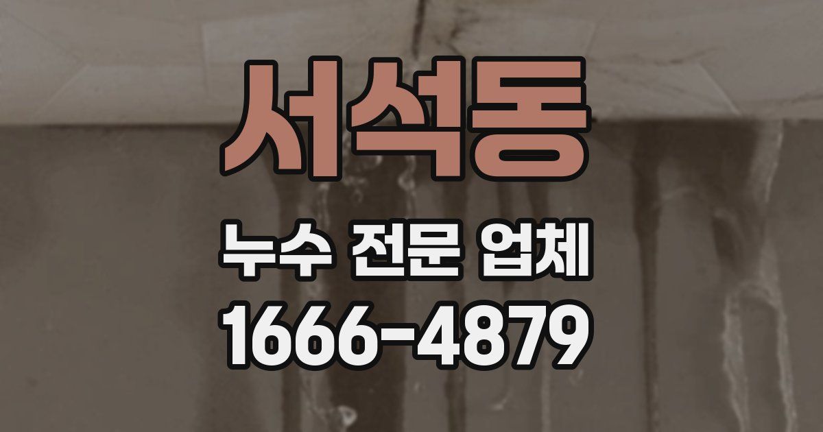 서석동 누수 전문 업체