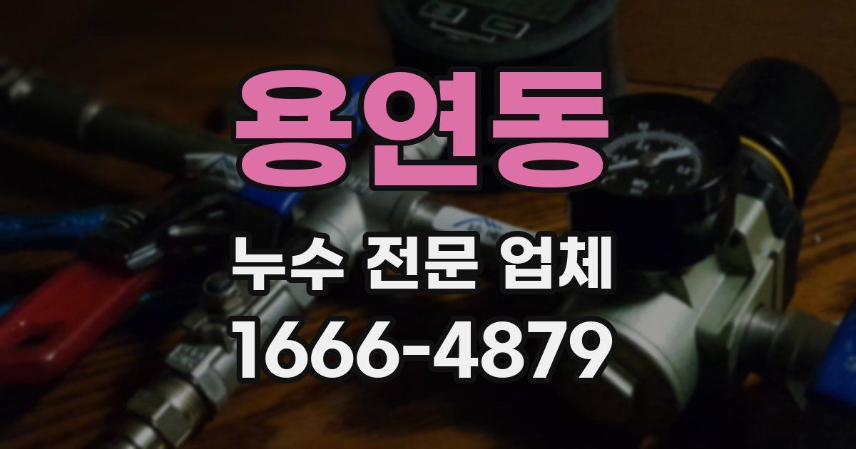 용연동 누수 전문 업체