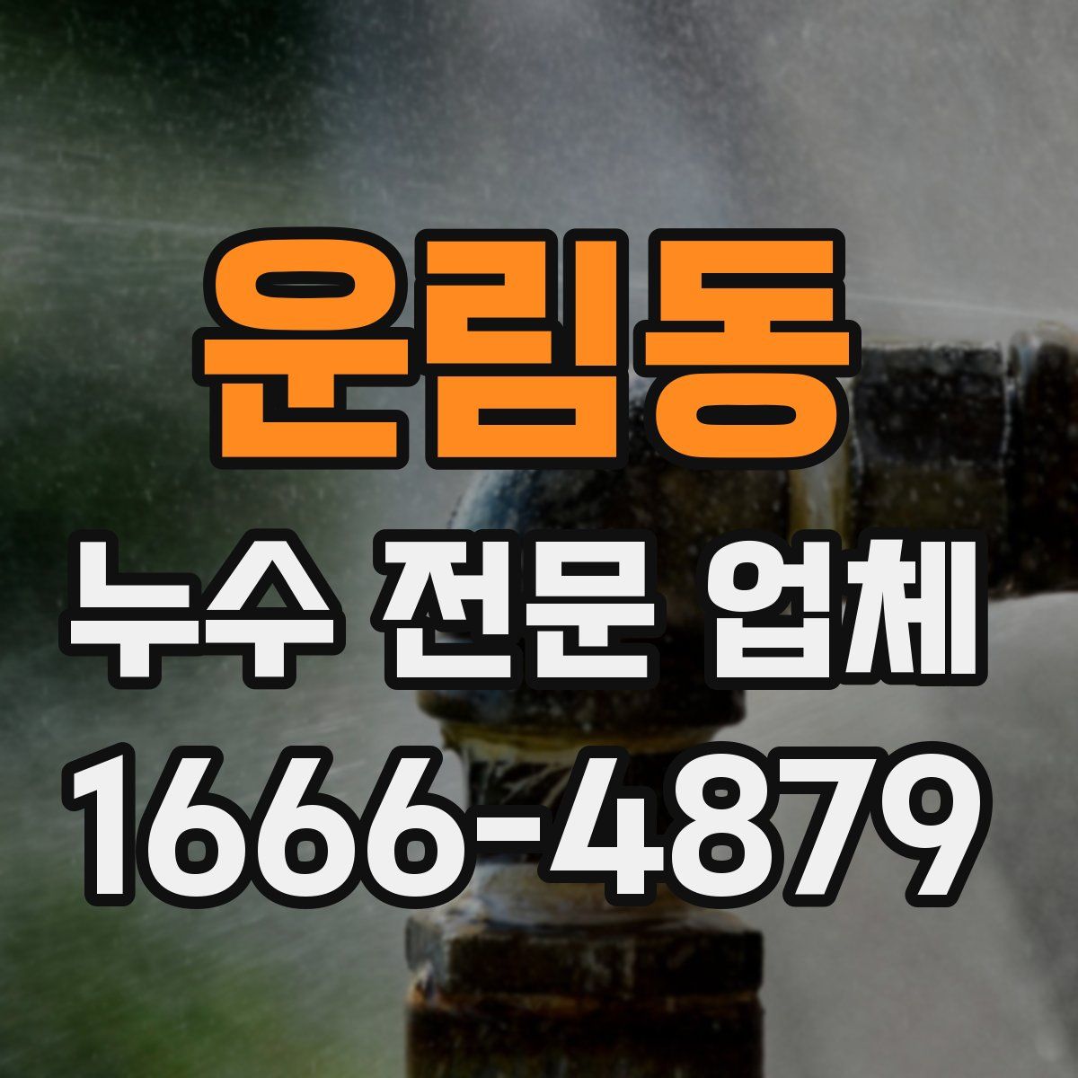 운림동 누수 전문 업체
