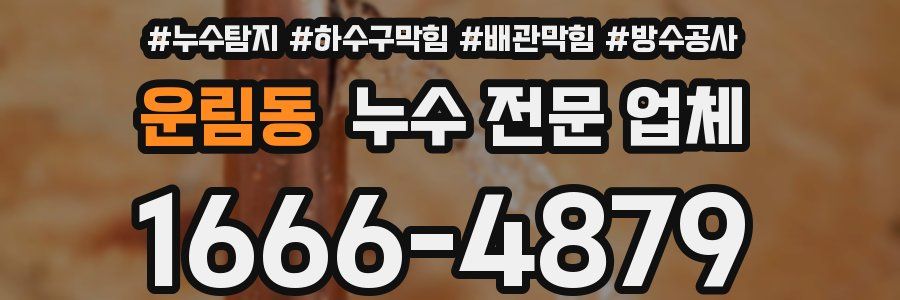 운림동 누수 전문 업체