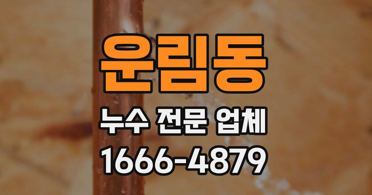 운림동 누수 전문 업체