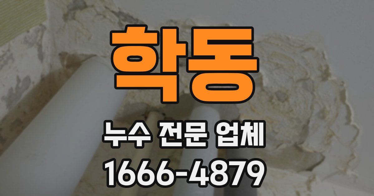 학동 누수 전문 업체
