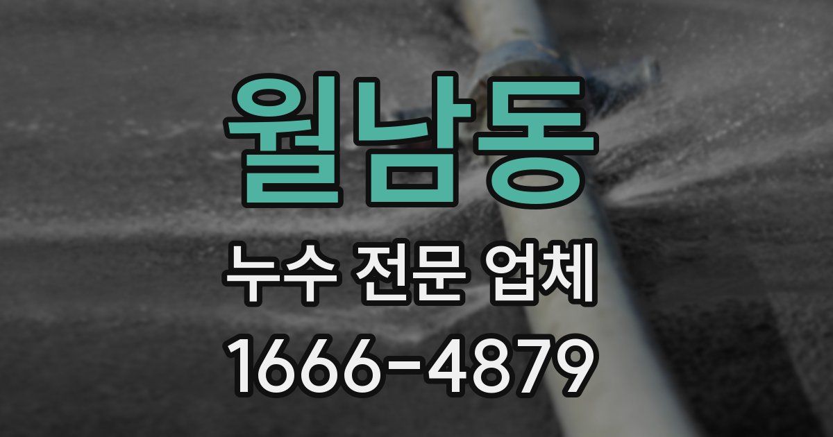 월남동 누수 전문 업체