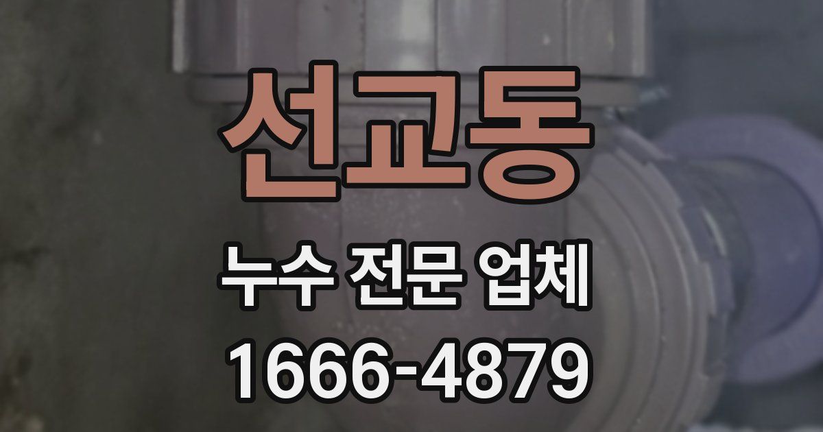 선교동 누수 전문 업체