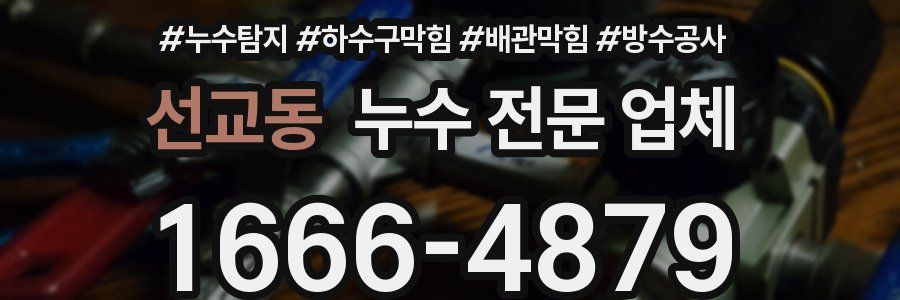 선교동 누수 전문 업체