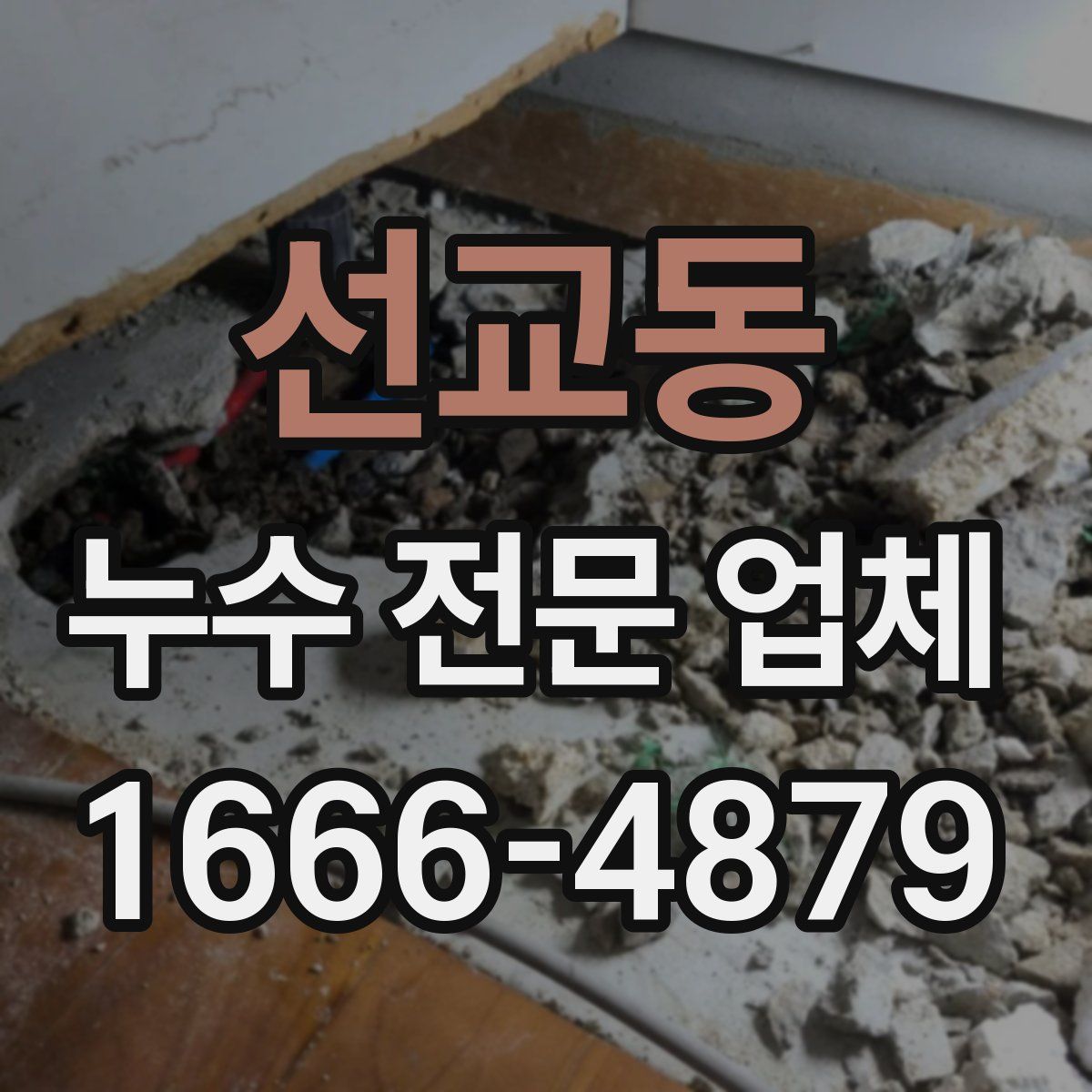 선교동 누수 전문 업체