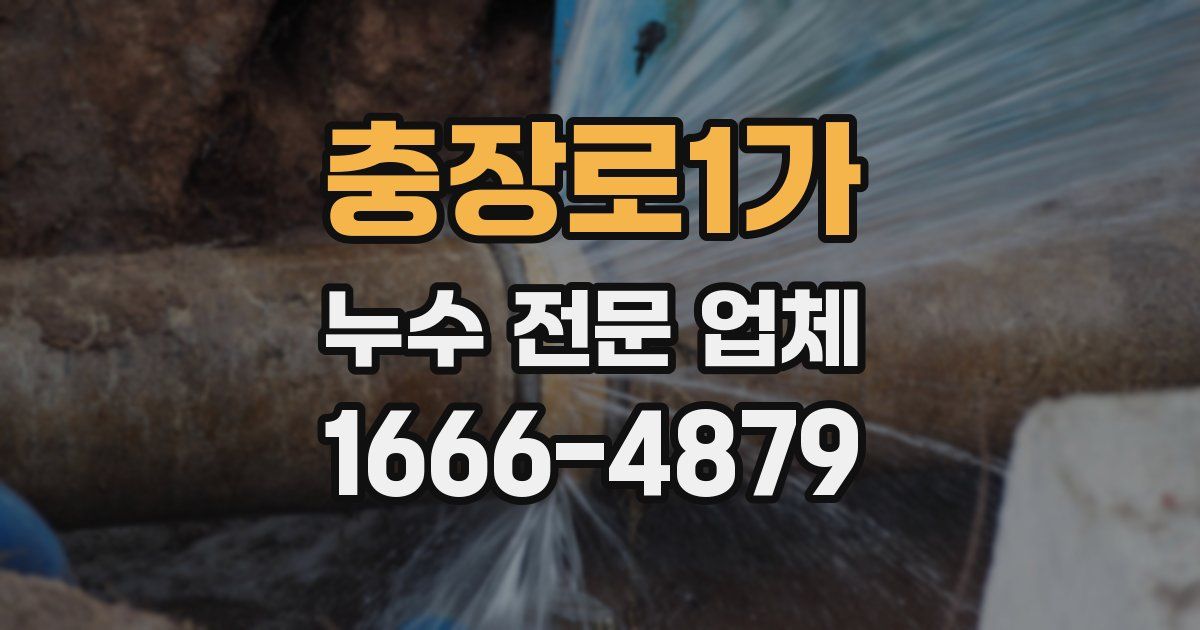 충장로1가 누수 전문 업체
