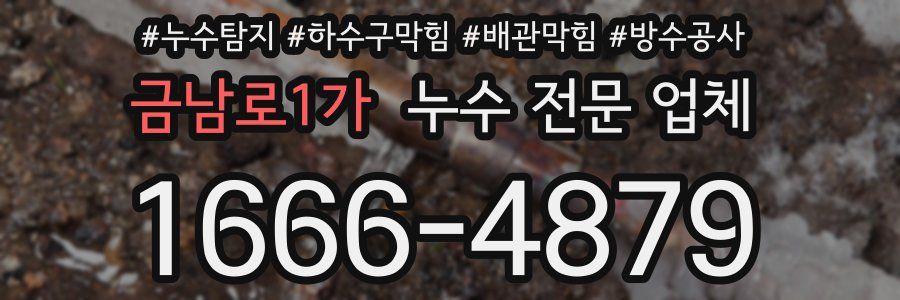 금남로1가 누수 전문 업체