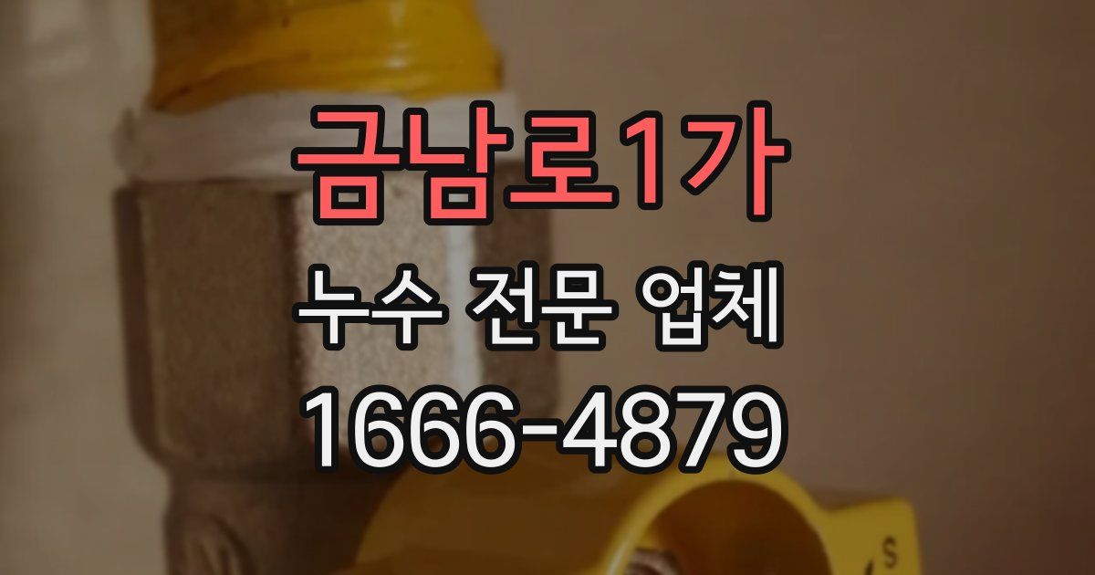 금남로1가 누수 전문 업체
