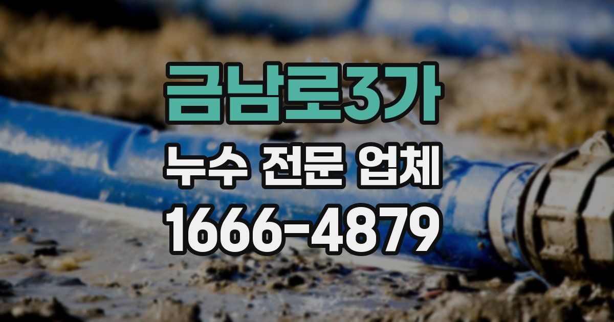 금남로3가 누수 전문 업체
